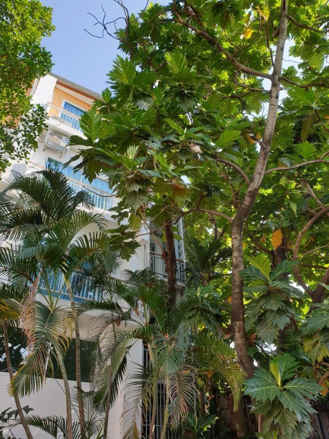 بيت شباب Breadfruit شيانغ ماي المظهر الخارجي الصورة